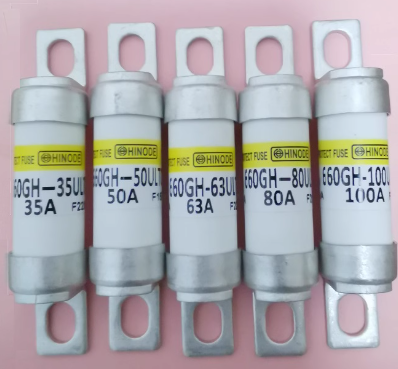 660GH-80ULTC 80A Fuse Neu und Original