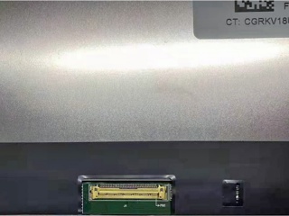 M133NVF3 R0 IVO 13.3