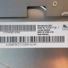 M250HTN01.7 AUO 24.5