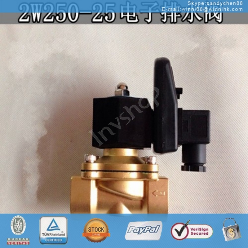 Solenoid Valve New 2W250-25 Original DC24
