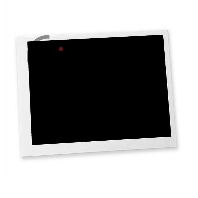 AM-1024600L2HMQW-71H 10.1 1280*600 lcd panel