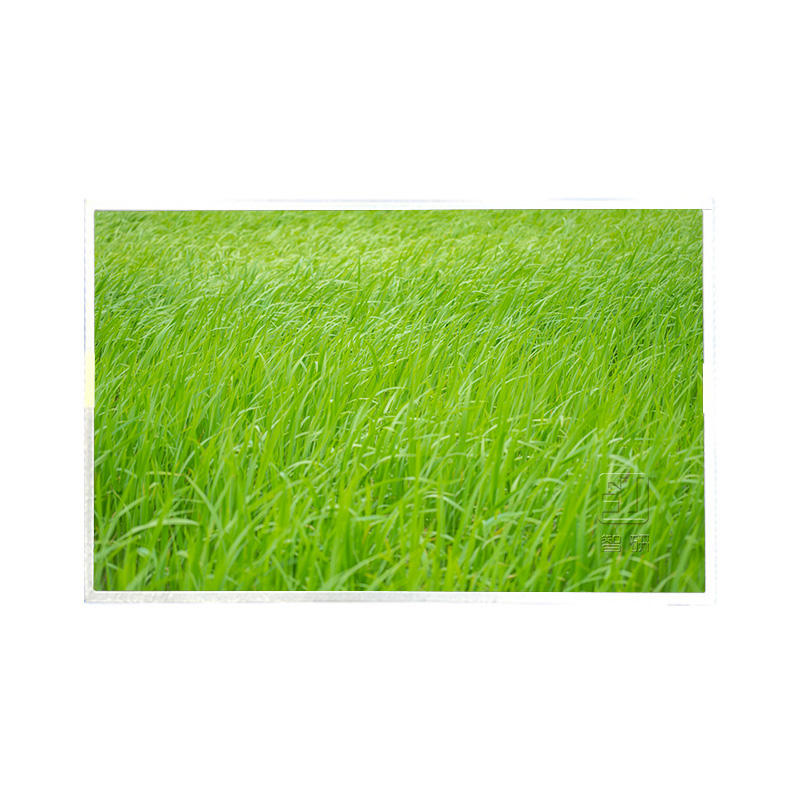 G156HAB02.5 AUO 15,6