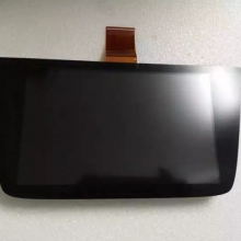 LQ080Y5DZ06 Sharp 8