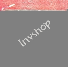 LM64148ZÂ LCD screen