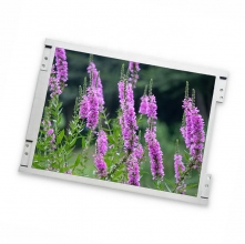 FG050720DSSWDG15 Data Image 5.7inch TFT-LCD screen 640*480 Display