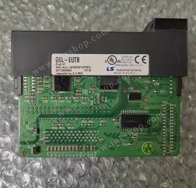 LS G6L-EUTB PLC Module