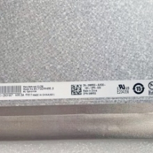 B173ZAN06.8 AUO 17.3