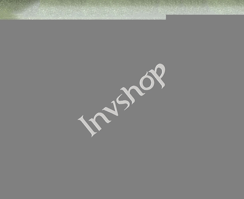 TL079QDXP01 New and Original TIANMA 7.9inch lcd display